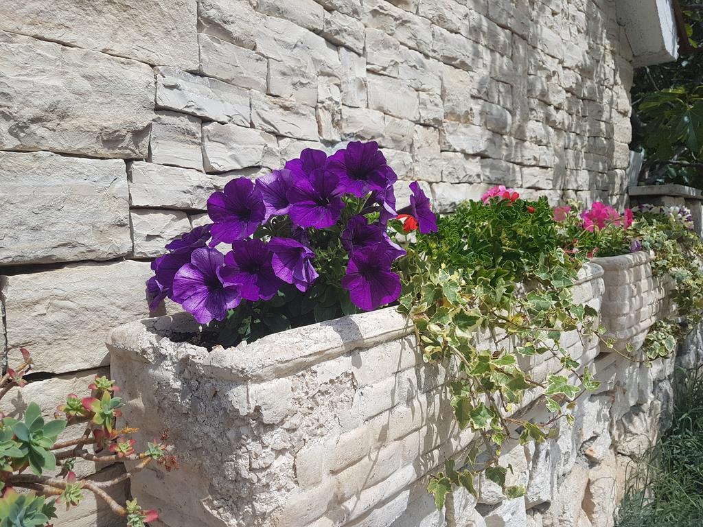 Apartment Adis Šibenik Exterior foto